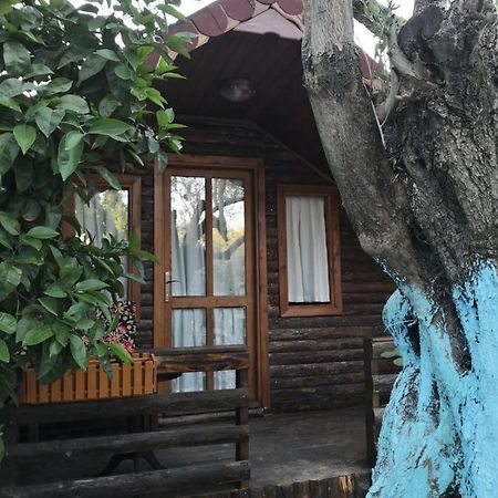 Zeytindagi Bungalow Mehmetalani 外观 照片