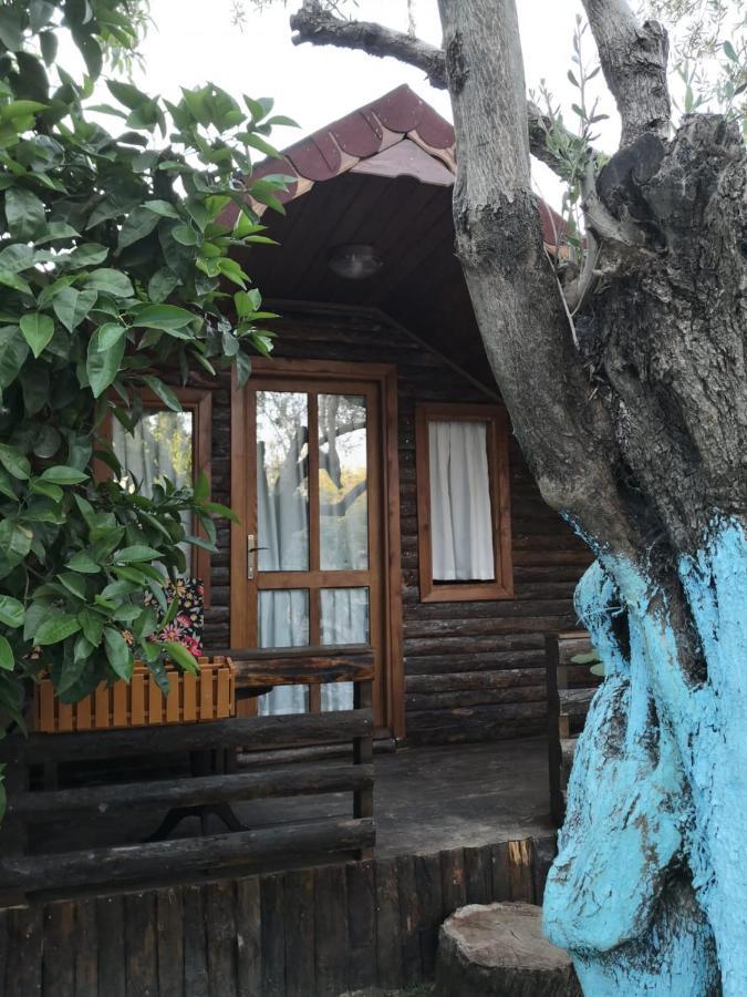 Zeytindagi Bungalow Mehmetalani 外观 照片