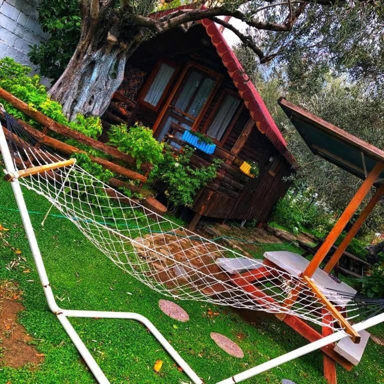 Zeytindagi Bungalow Mehmetalani 外观 照片