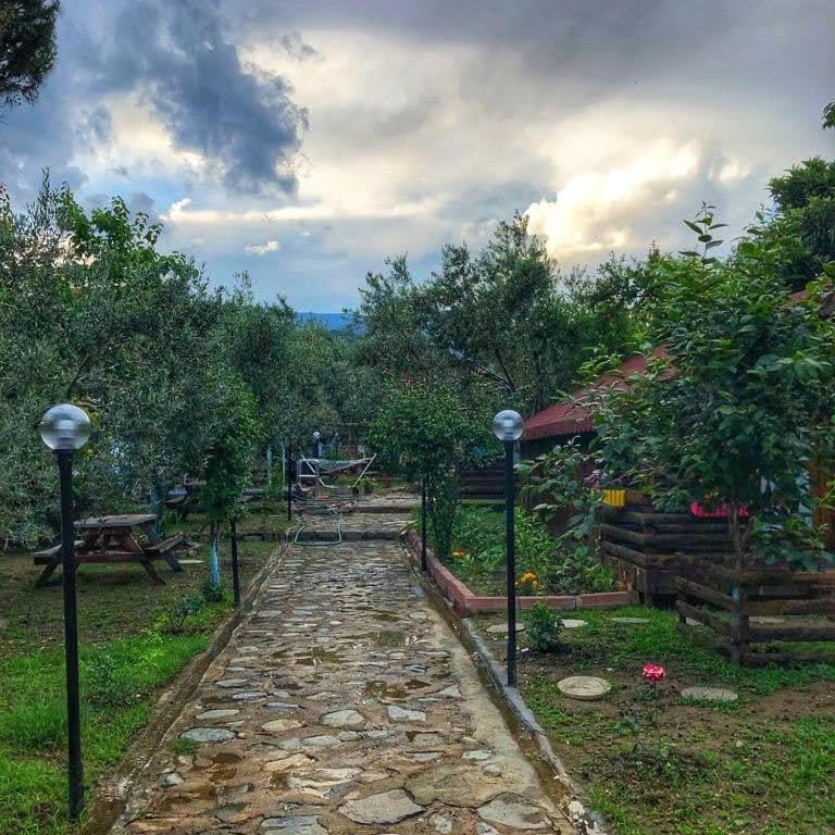 Zeytindagi Bungalow Mehmetalani 外观 照片