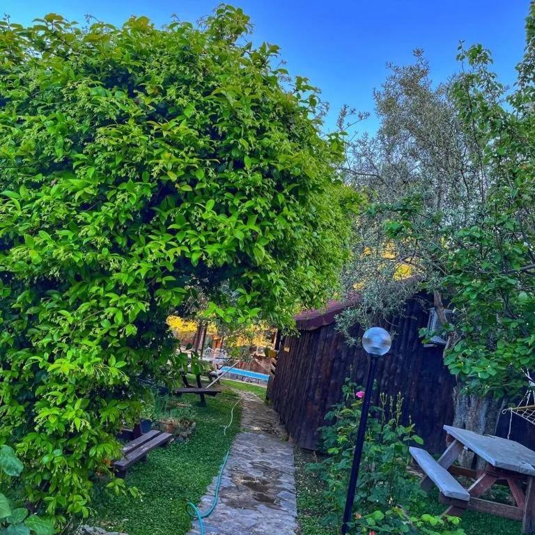 Zeytindagi Bungalow Mehmetalani 外观 照片