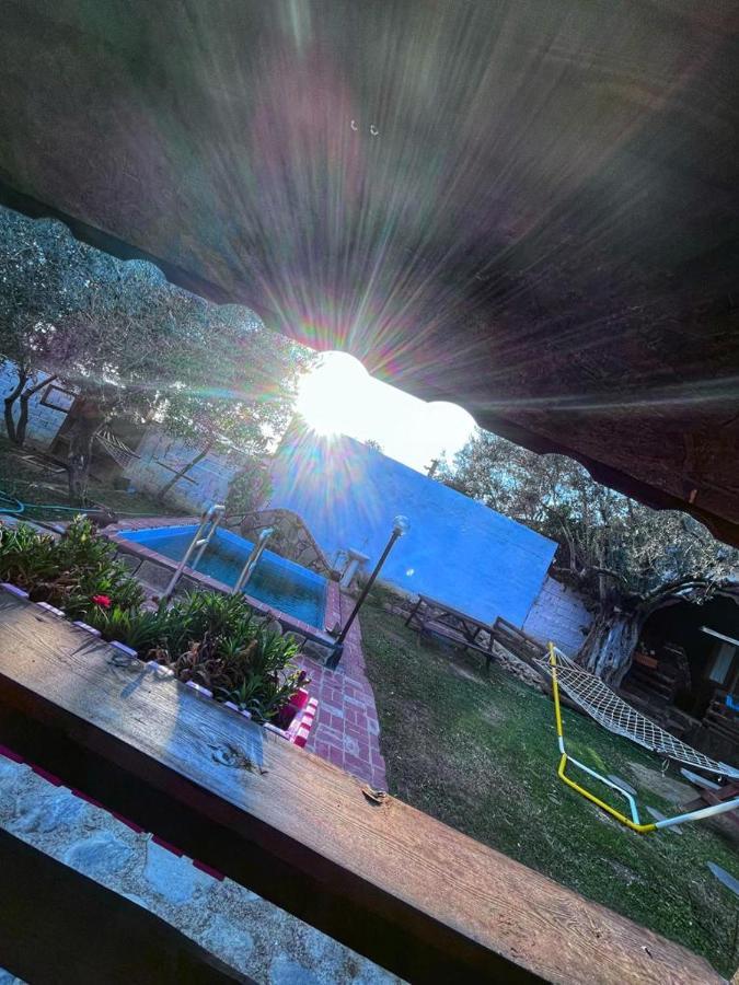 Zeytindagi Bungalow Mehmetalani 外观 照片
