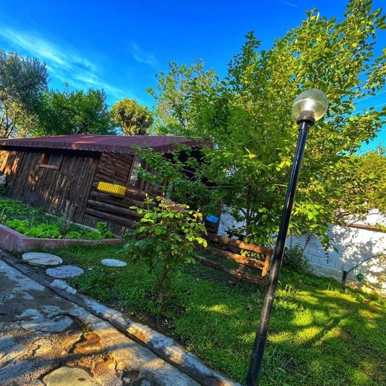Zeytindagi Bungalow Mehmetalani 外观 照片