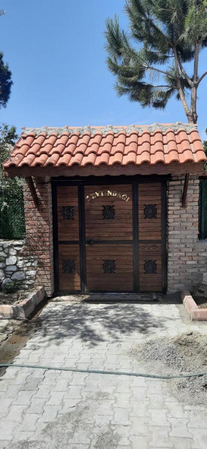 Zeytindagi Bungalow Mehmetalani 外观 照片
